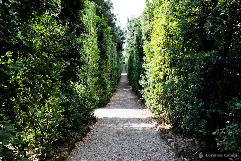 Boboli gardens