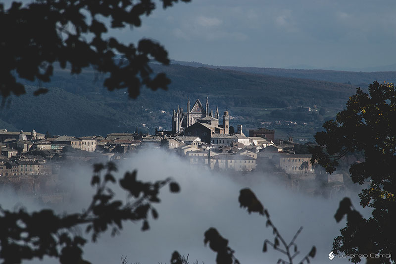 Cathedral on fog