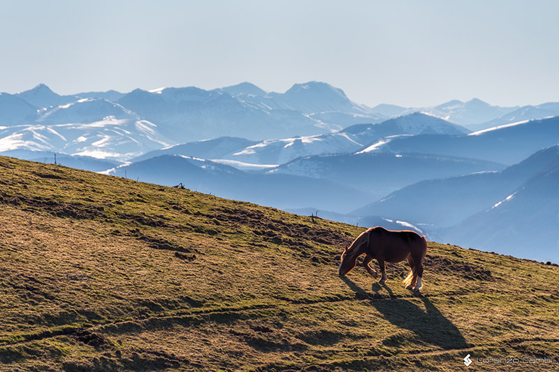 Monte Cucco