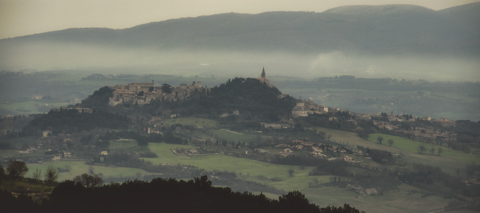 Todi