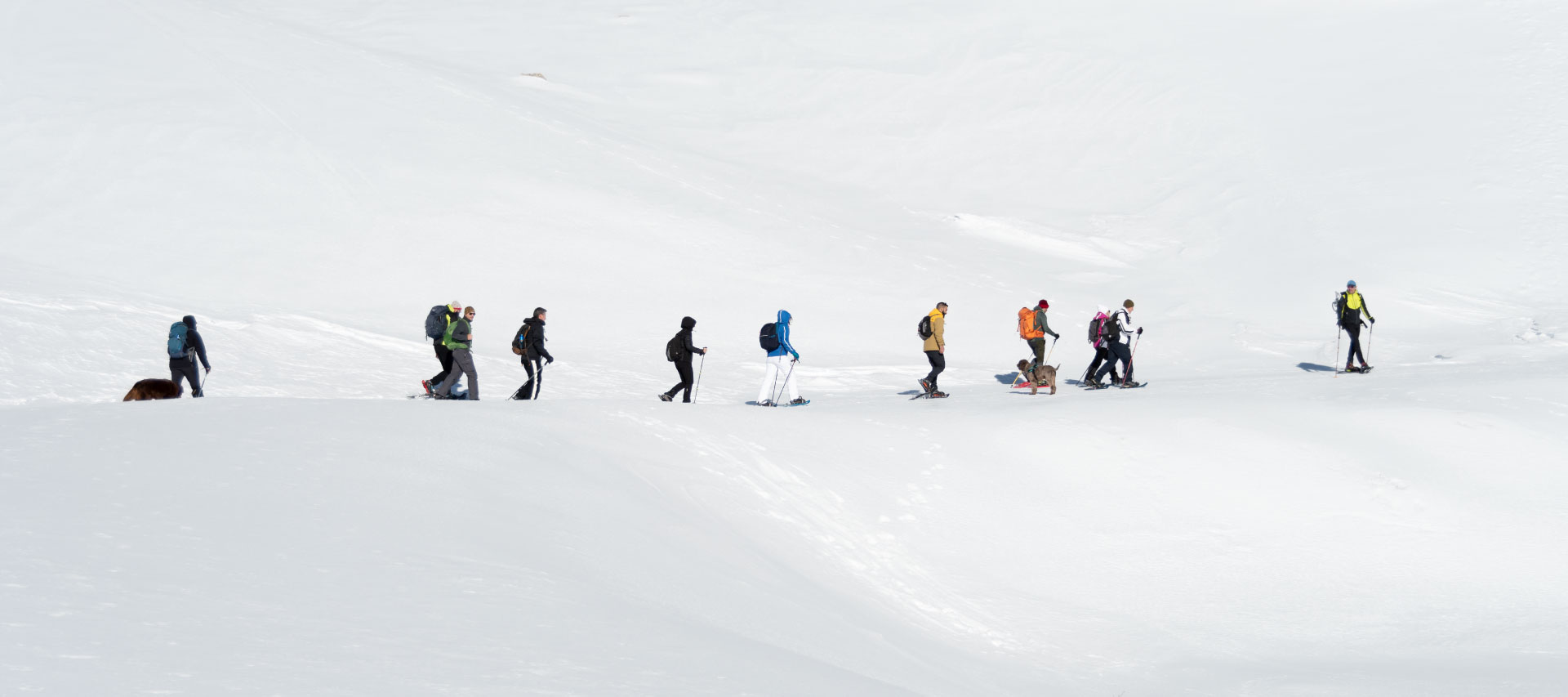 Walking on the snow