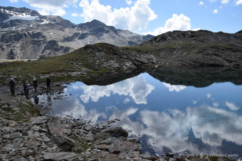 Water clouds