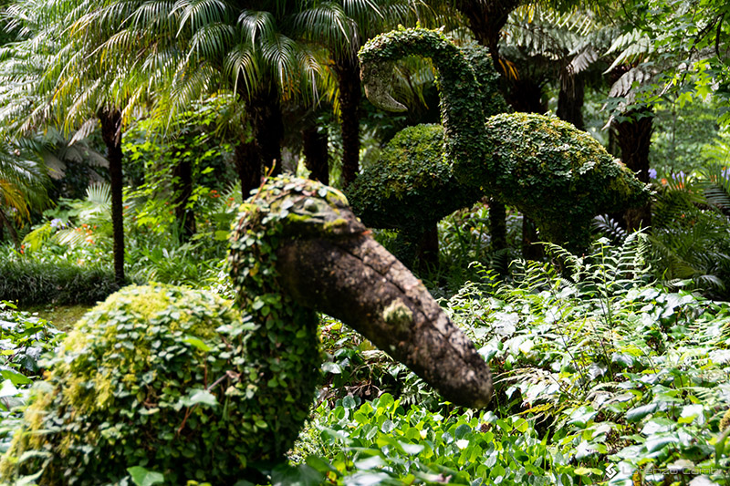 Parque de Terra Nostra