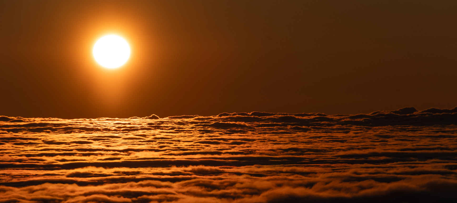 On the roof of Madeira