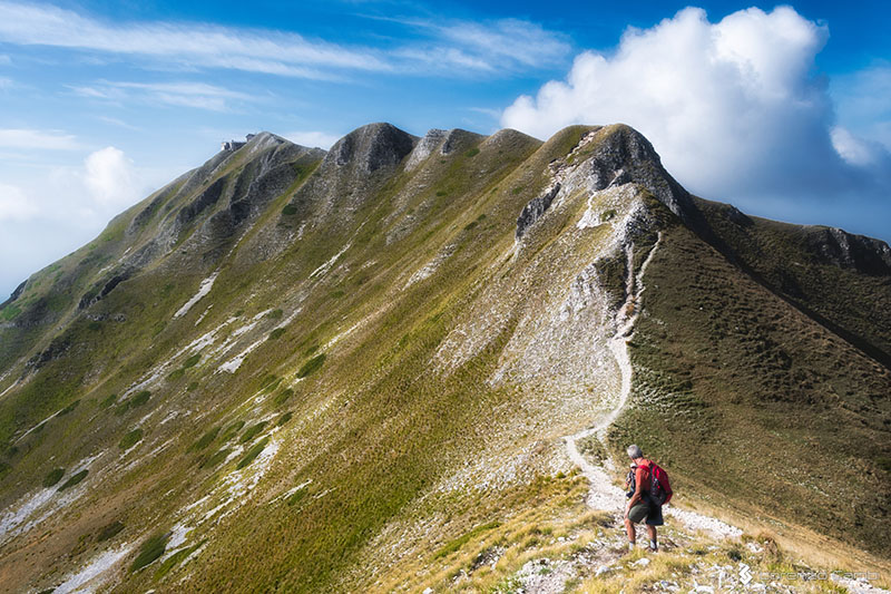 Winding trails